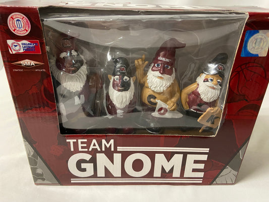 University of Southern Carolina Team Gnome
